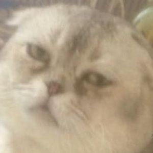 Meet your Posher, Huy thien